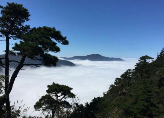 山居生活体验自然宁静与心灵修养-和风乐游农庄(图1)