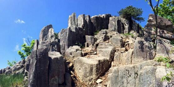 山居生活体验自然宁静与心灵修养-和风乐游农庄(图3)