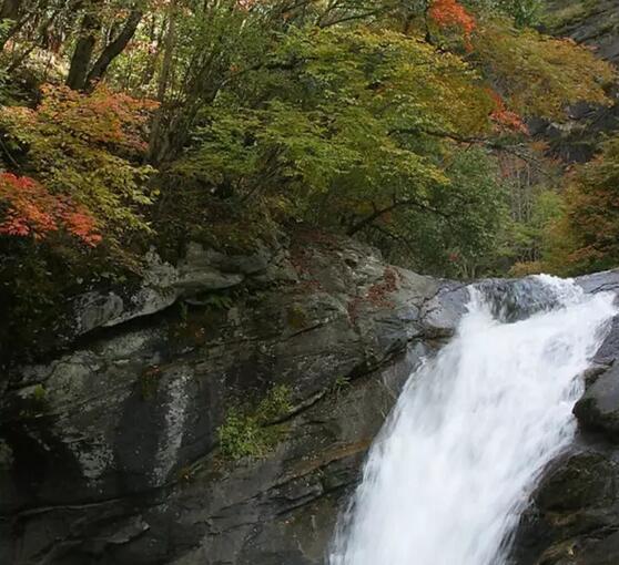深溪坞村的田园慢生活体验-和风乐游农庄(图3)
