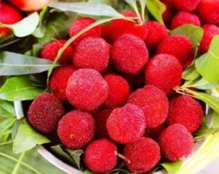 杨梅季吃法多样 酸甜口感满足味蕾-和风乐游农庄 - 和风乐游农庄