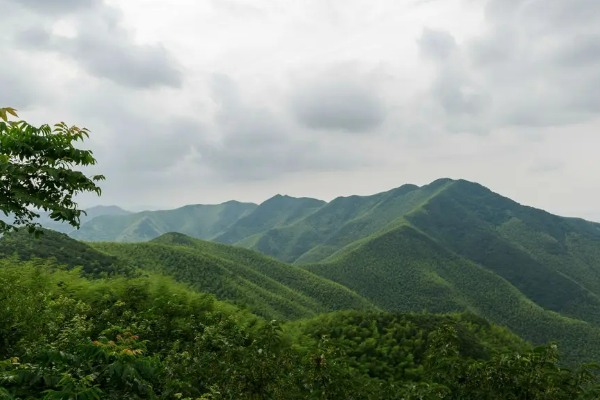 阳羡生态旅游区(图2)