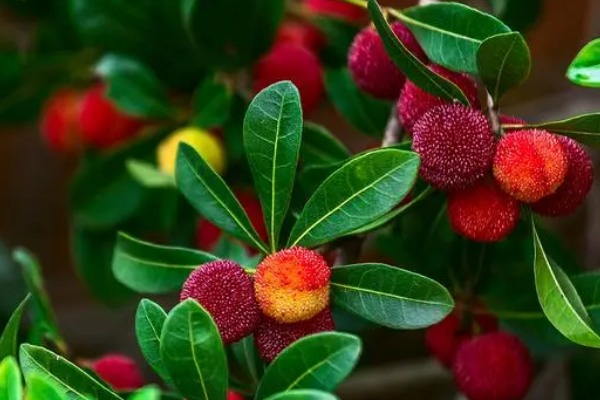 阳羡生态旅游区(图3)