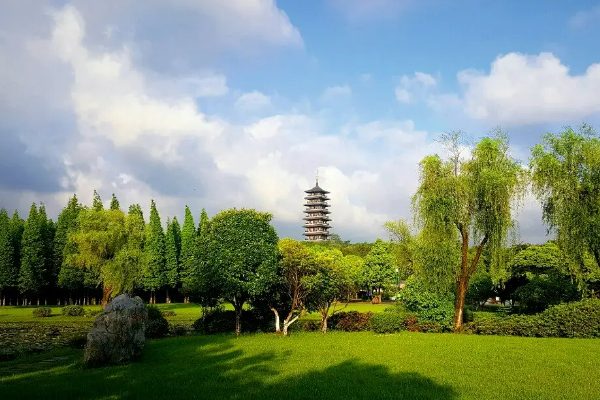 龙背山森林公园(图1)