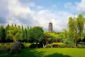 龙背山森林公园 - 和风乐游农庄