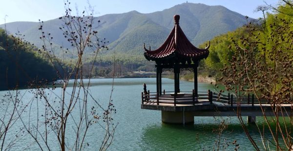 竹海风景区(图4)