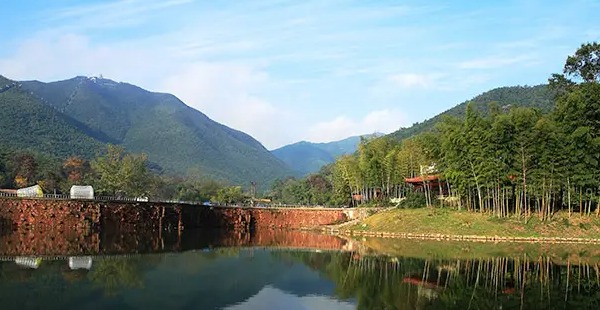 竹海风景区(图3)