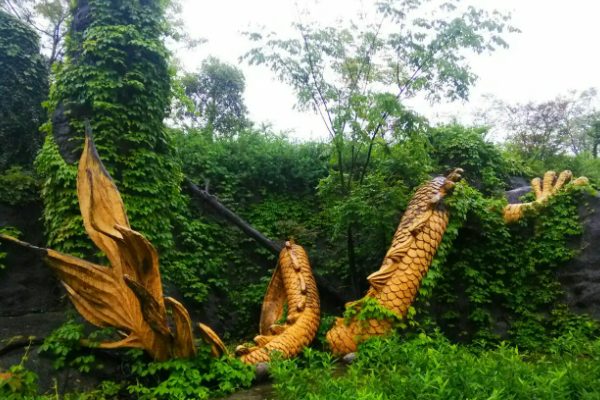 龙背山森林公园(图2)