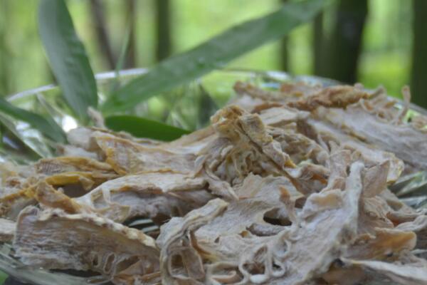 紫阆野山笋干(图1)