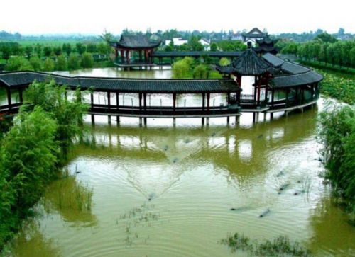 中国扬子鳄村(图3)