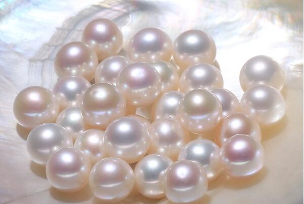 珍珠(图1)