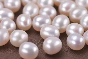 珍珠 - 和风乐游农庄