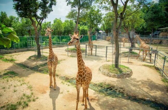 安吉这几个地方,告诉你(图1) 安吉这几个地方,告诉你(图1)