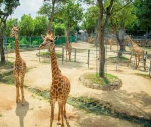 安吉这几个地方，告诉你 - 和风乐游农庄