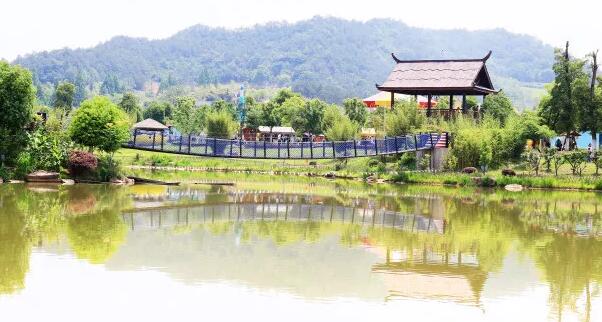 安吉田园嘉乐比，采摘游(图4)