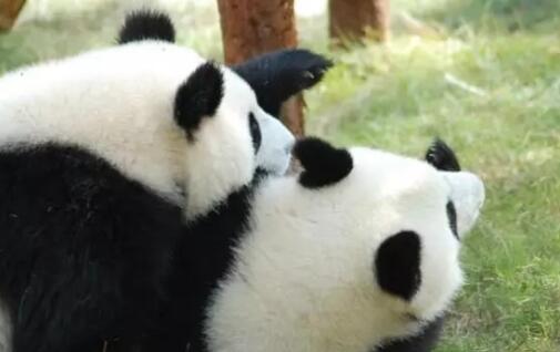 竹博园正在上演的艺术与(图2)