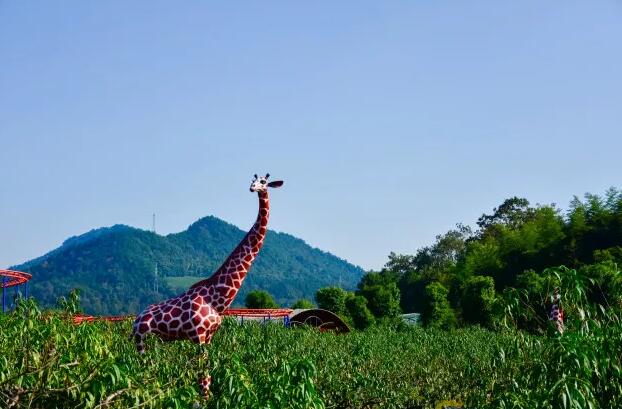 安吉田园嘉乐比，采摘游(图3)