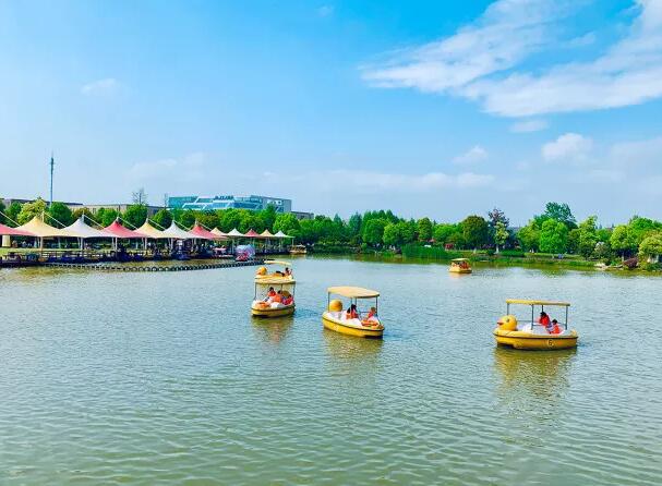 安吉田园嘉乐比，采摘游(图5)