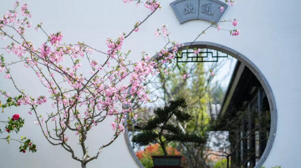 安吉的文化之旅,还有巴(图2) 安吉的文化之旅,还有巴(图2)