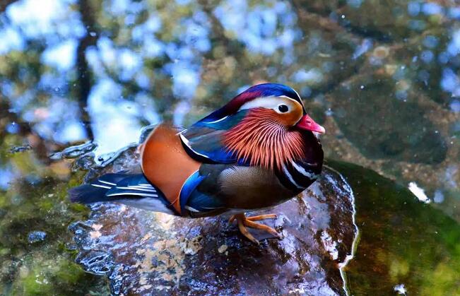 震撼你的眼球，无需美颜(图3)