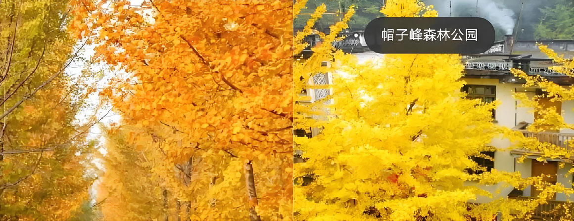 韶关有哪些好玩的地方？韶关旅游攻略必去十大景点介绍..(图3)