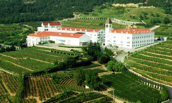 华东百利葡萄酒庄园(图1)