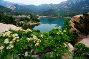 二龙山 - 和风乐游农庄