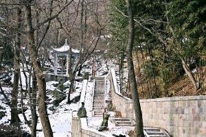 石湾森林公园 - 和风乐游农庄