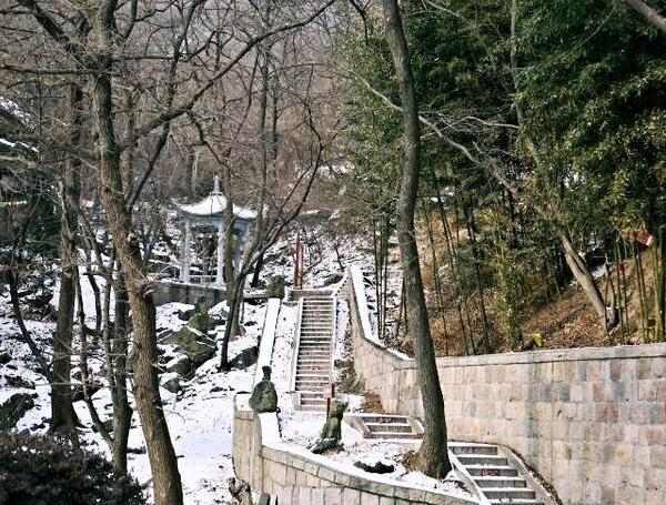 石湾森林公园(图2)