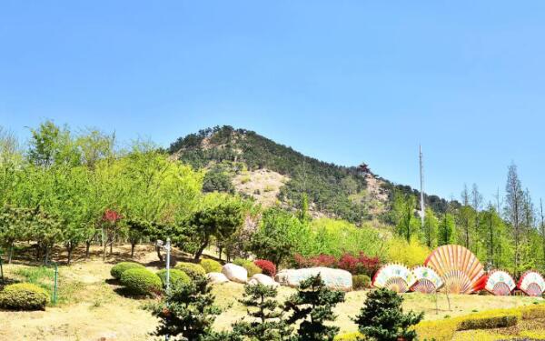 枯桃花艺生态园(图3)