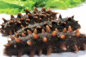 刺参 - 和风乐游农庄