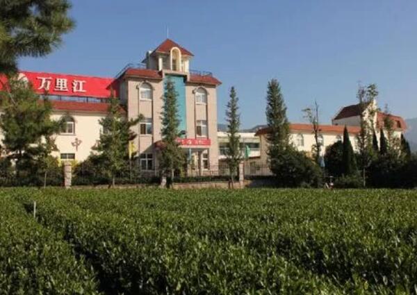 万里江茶博园(图3)