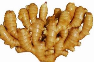 莒县大姜 - 和风乐游农庄