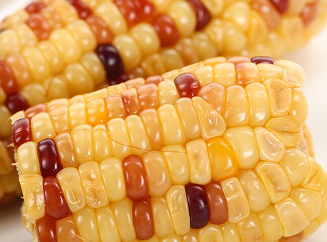 定襄糯玉米(图3)