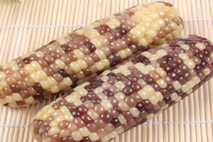 定襄糯玉米 - 和风乐游农庄