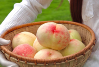 安吉田园嘉乐比水果采摘攻略，500亩果园体验自然美味-和风乐 - 和风乐游农庄