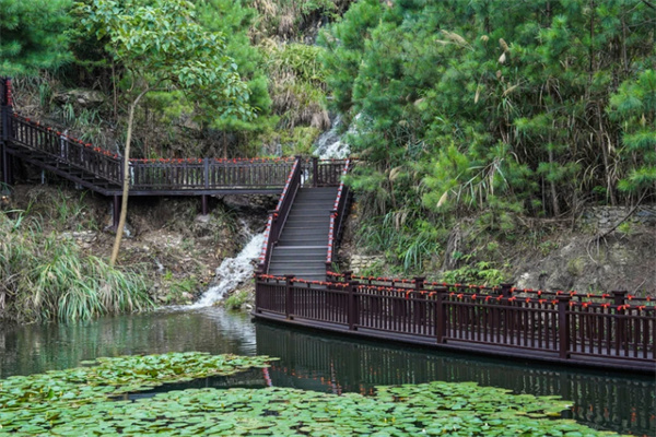 亲子游首选安吉中南百草原，亲近自然体验动植物世界-和风乐游农庄(图2)