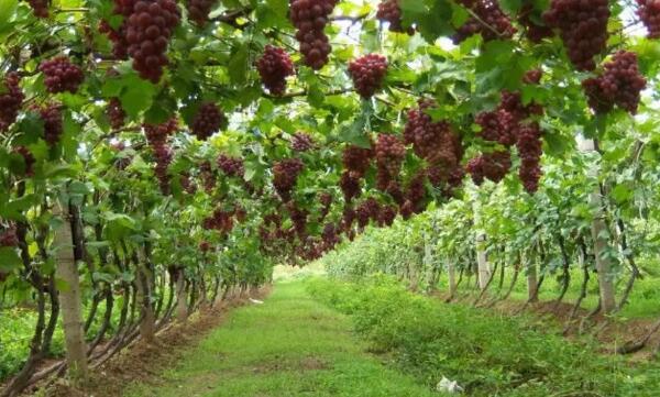 马家沟生态旅游度假区(图4)