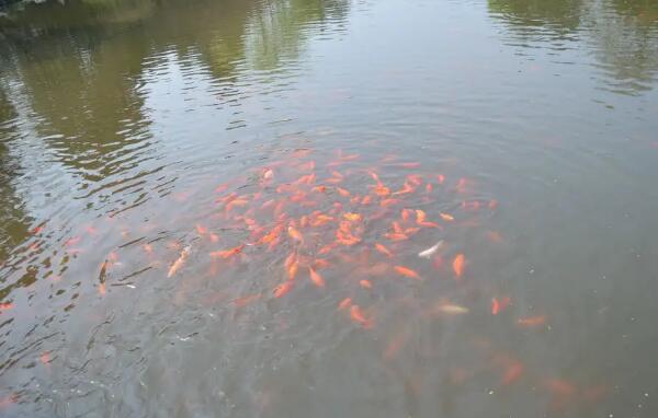 马家沟生态旅游度假区(图3)