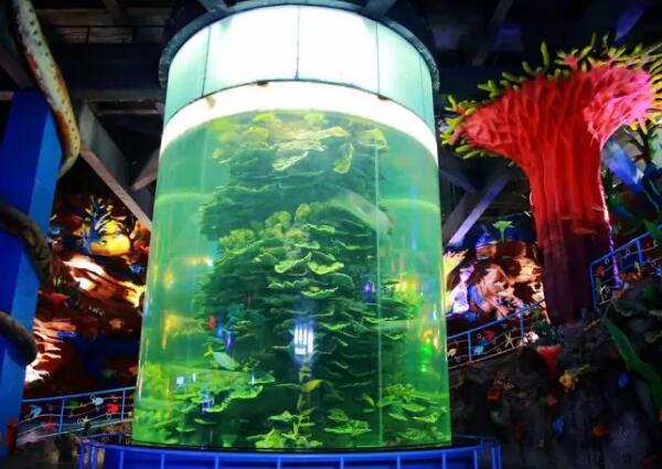 蓬莱海洋极地世界(图2)