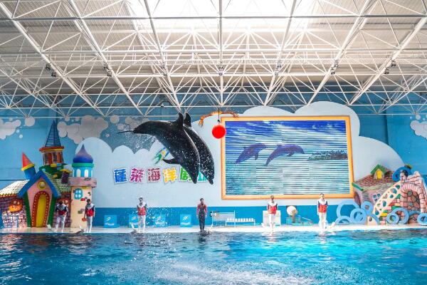 蓬莱海洋极地世界(图6)