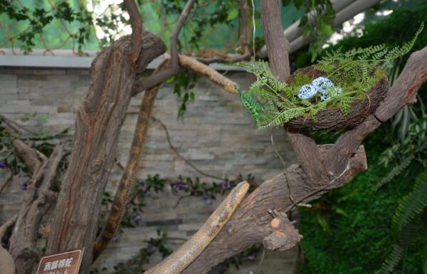 林海公园(图2) 林海公园(图2)