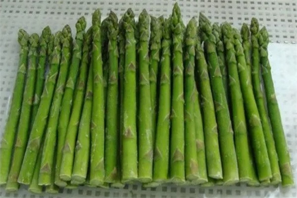 莒县绿芦笋(图2)