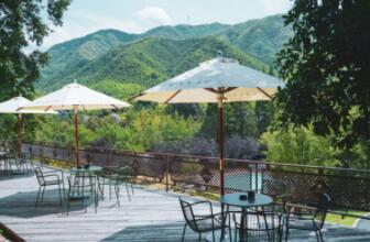 探访湖州安吉乐那石谷，体验竹林秘境的绿野仙踪之旅-和风乐游农 - 和风乐游农庄