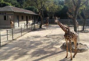 中南百草园亲子游攻略：植物园动物园游乐园一日游体验-和风乐游 - 和风乐游农庄