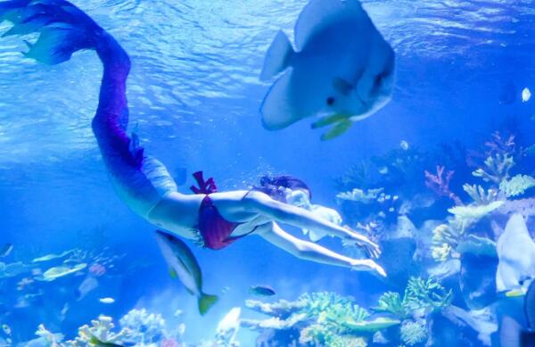 日照海洋公园(图2)