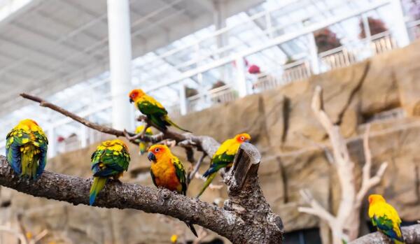 日照海洋公园(图3)