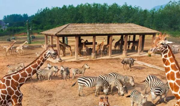 Hi世界农乐园(图4) Hi世界农乐园(图4)