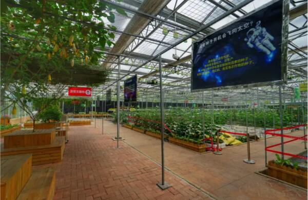 Hi世界农乐园(图2)