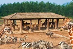 Hi世界农乐园 - 和风乐游农庄