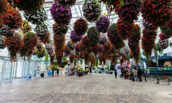 日照海洋公园(图4)